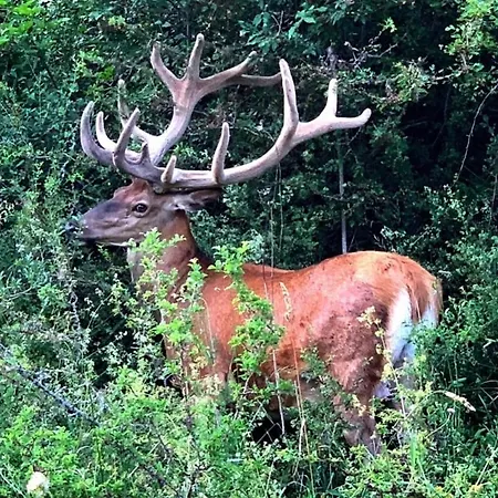 Of Rocks Casa de Férias Rocca Pia