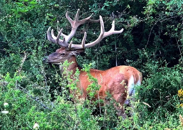 Of Rocks Holiday home Rocca Pia